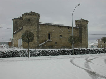 Castillo-Palacio de Leiva